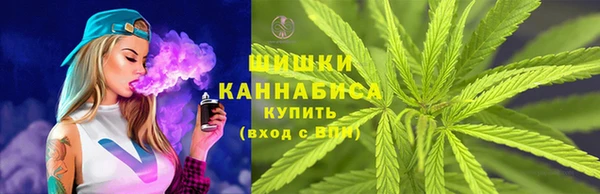 твердый Сосновоборск