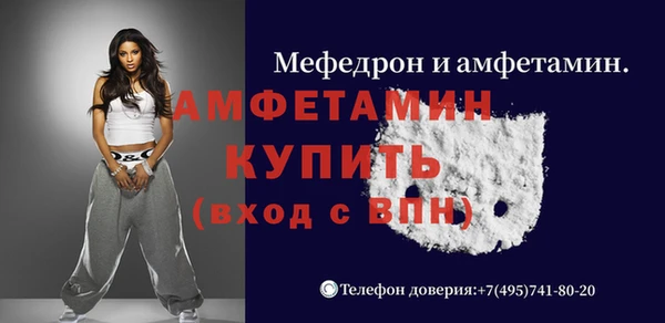 мет Алексин