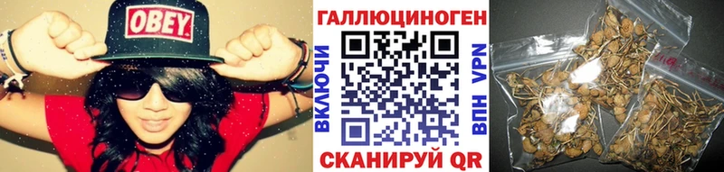 Галлюциногенные грибы ЛСД купить наркотик Буй