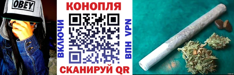 продажа наркотиков  Буй  shop Telegram  Каннабис семена 
